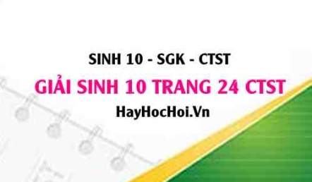 Giải Sinh 10 trang 24 Chân trời sáng tạo SGK